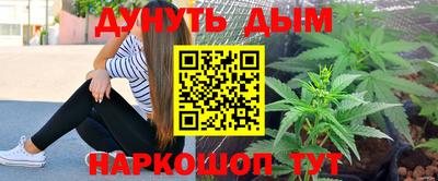 шишки Шебекино