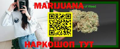 шишки Шебекино