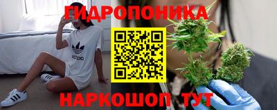 ALPHA PVP Шахты